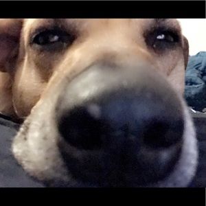 Meet your Posher, Kyleigh